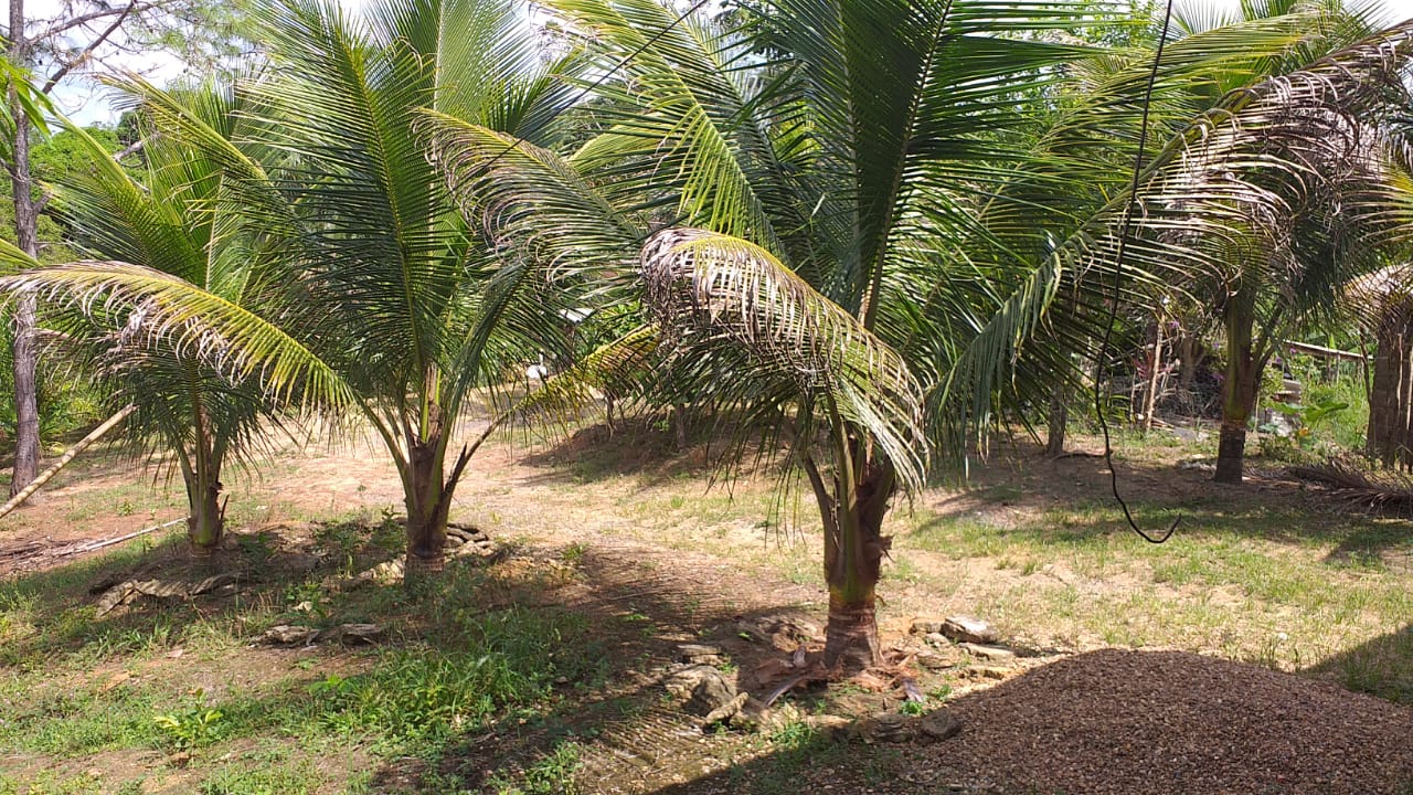 SITIO EROLDO PAULISTA 