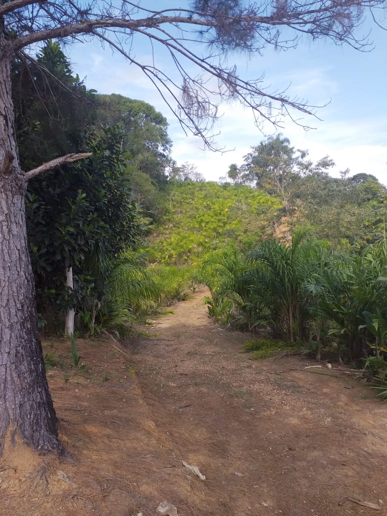 SITIO EROLDO PAULISTA 