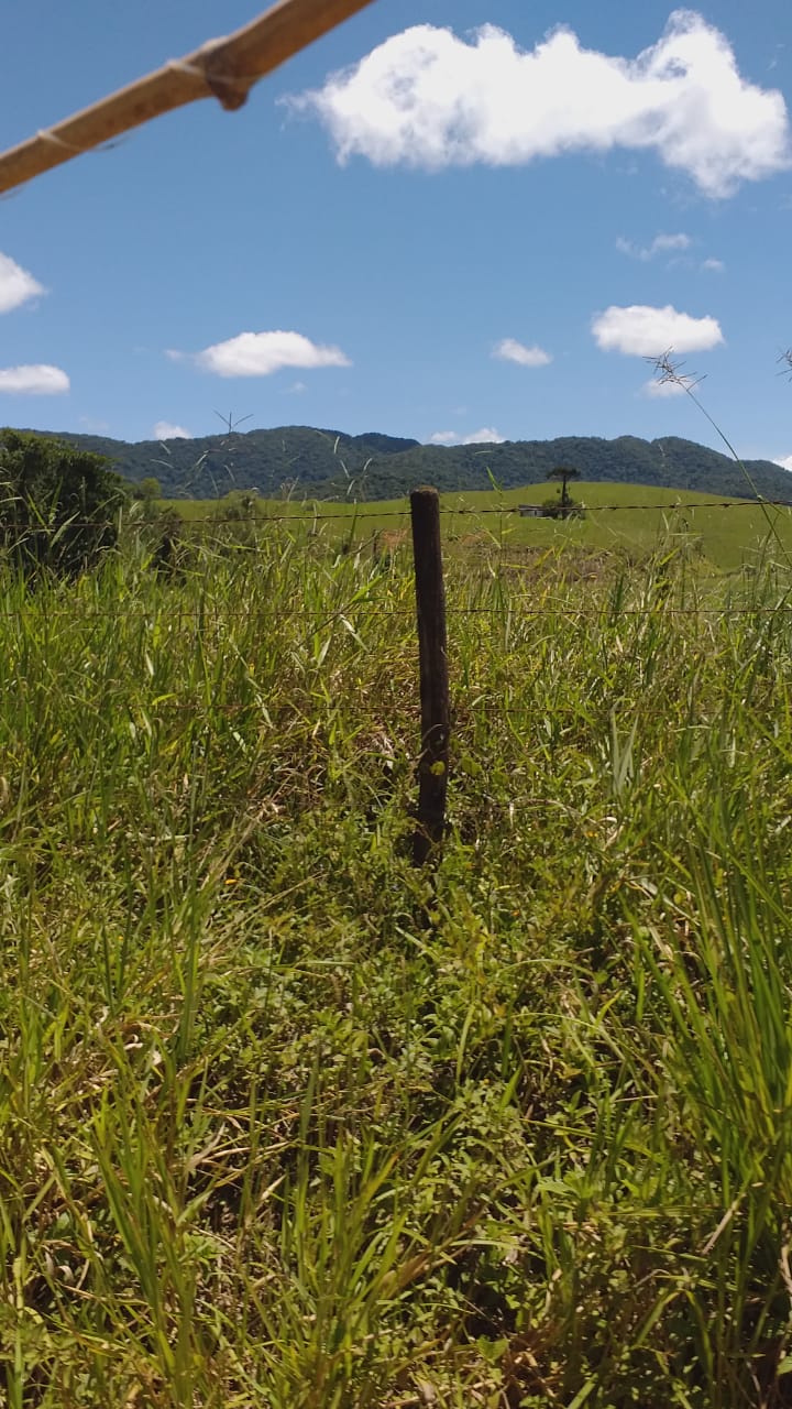 SITIO EROLDO PAULISTA 