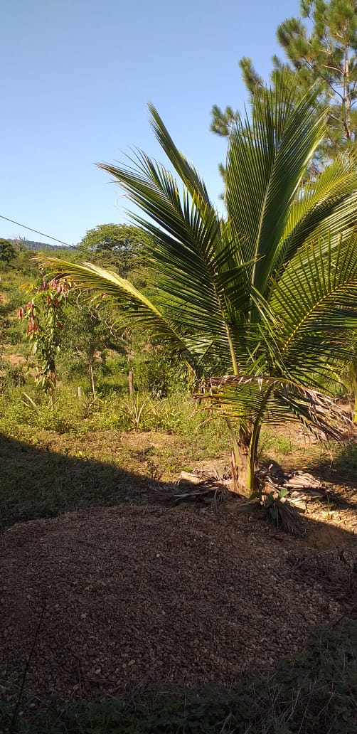 SITIO EROLDO PAULISTA 