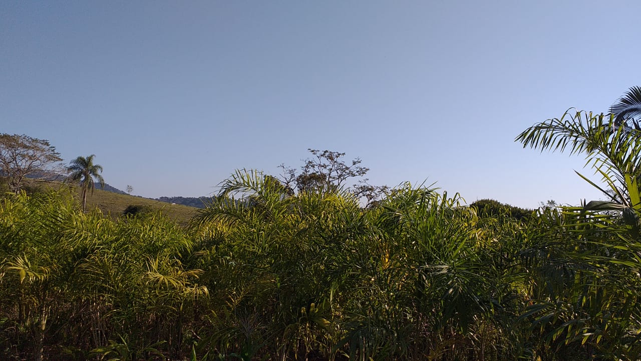 SITIO EROLDO PAULISTA 
