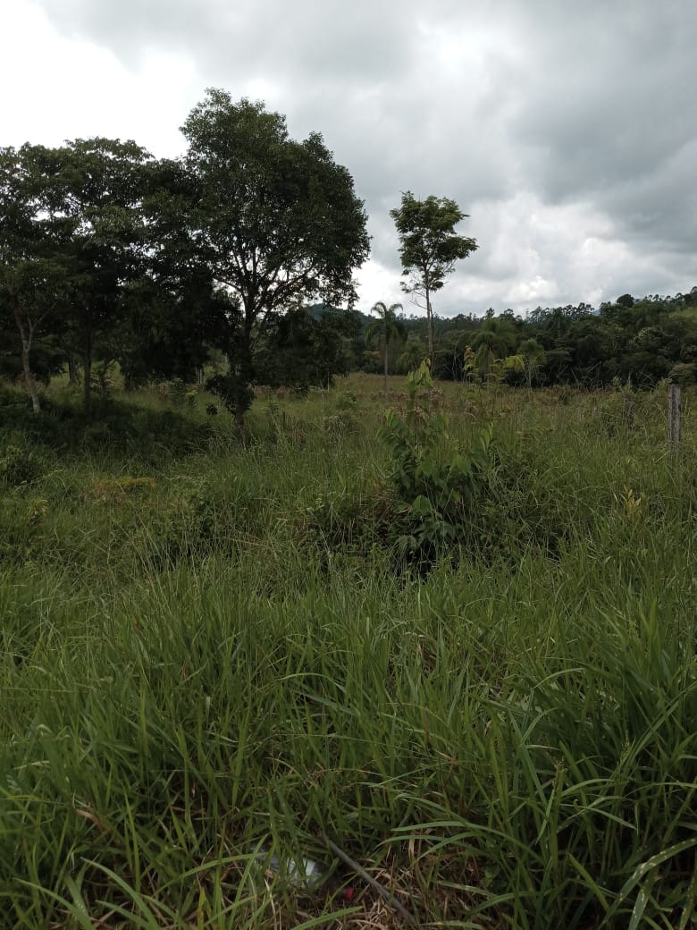 SITIO EROLDO PAULISTA 
