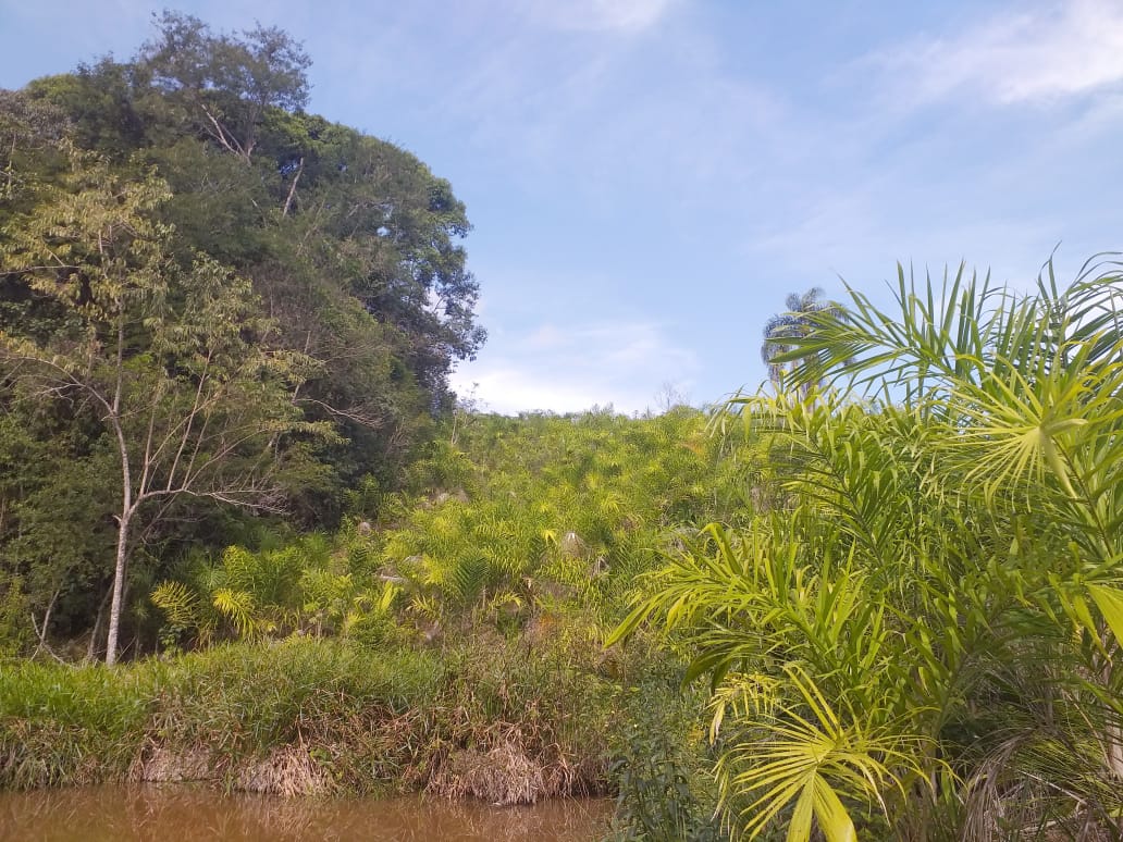 SITIO EROLDO PAULISTA 