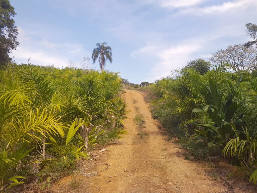 SITIO EROLDO PAULISTA 