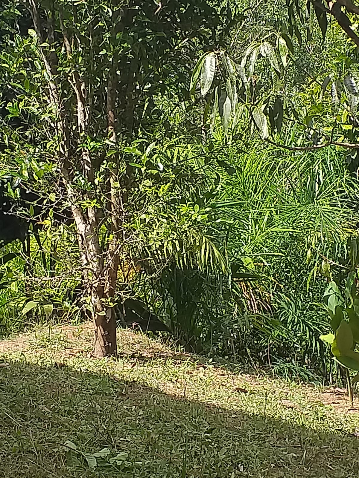 SITIO EROLDO PAULISTA 