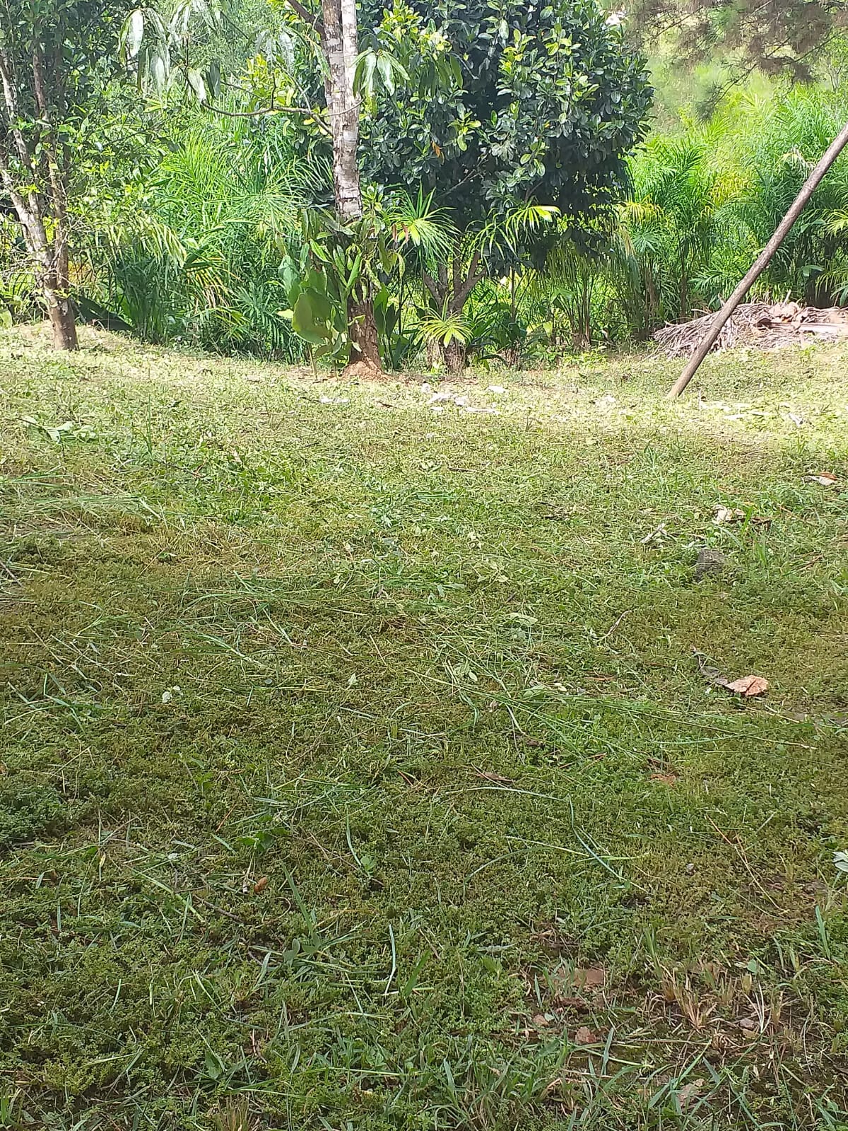 SITIO EROLDO PAULISTA 