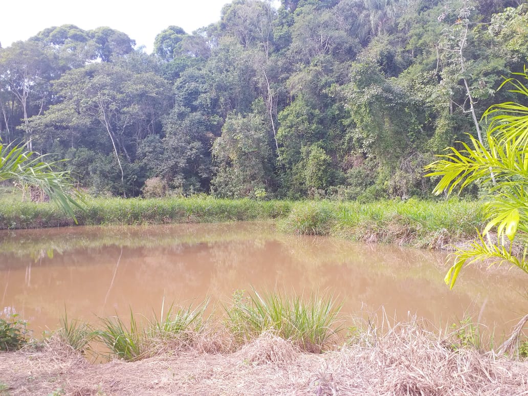 SITIO EROLDO PAULISTA 