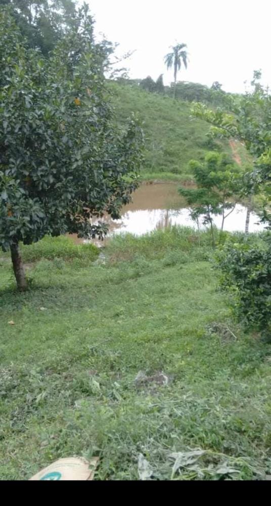 SITIO EROLDO PAULISTA 