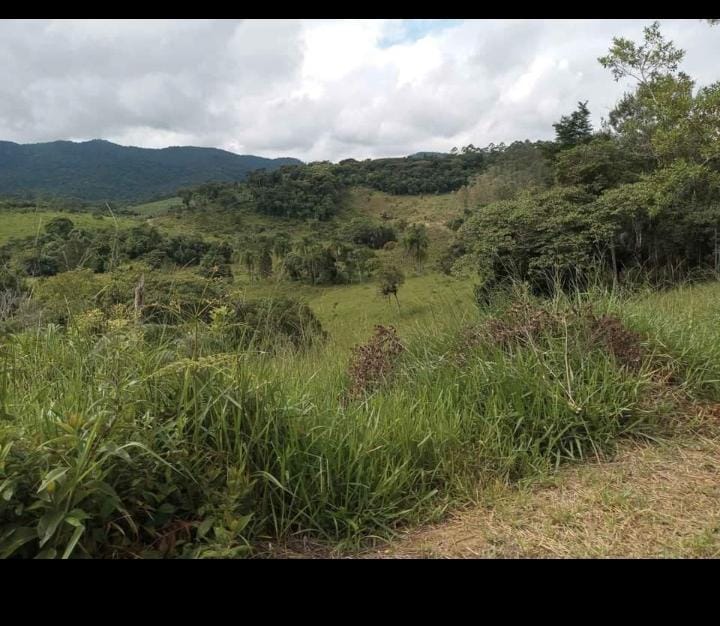SITIO EROLDO PAULISTA 