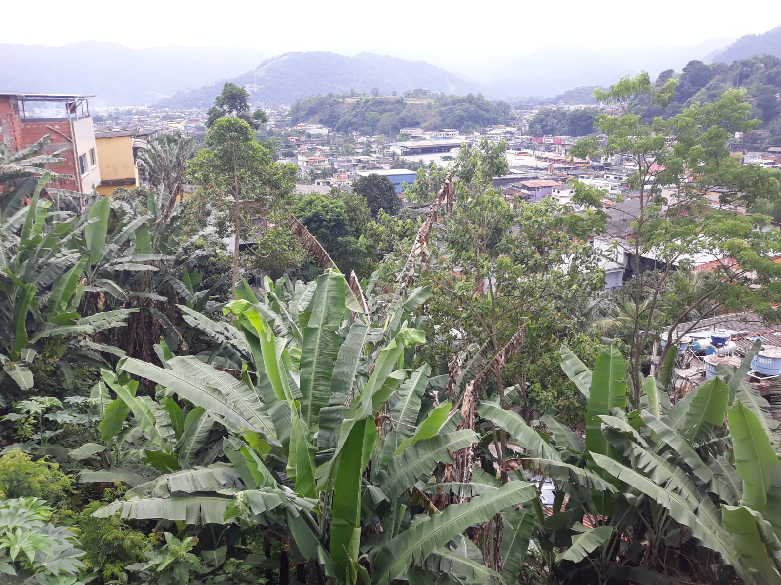 Apartamento Térreo  em  Angra dos Reis Rj