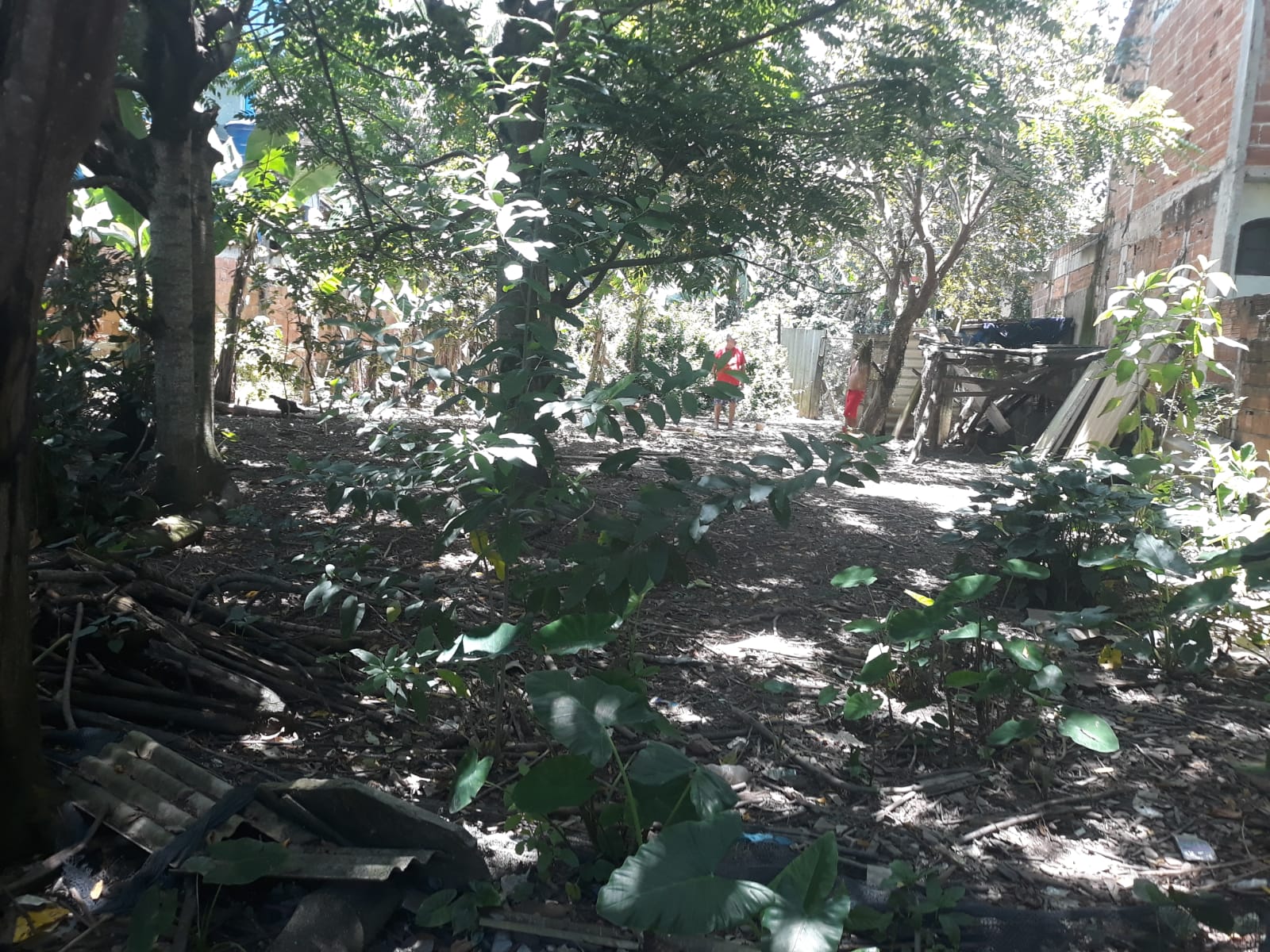 Lindo terreno na Nova Angra Angra dos reis RJ