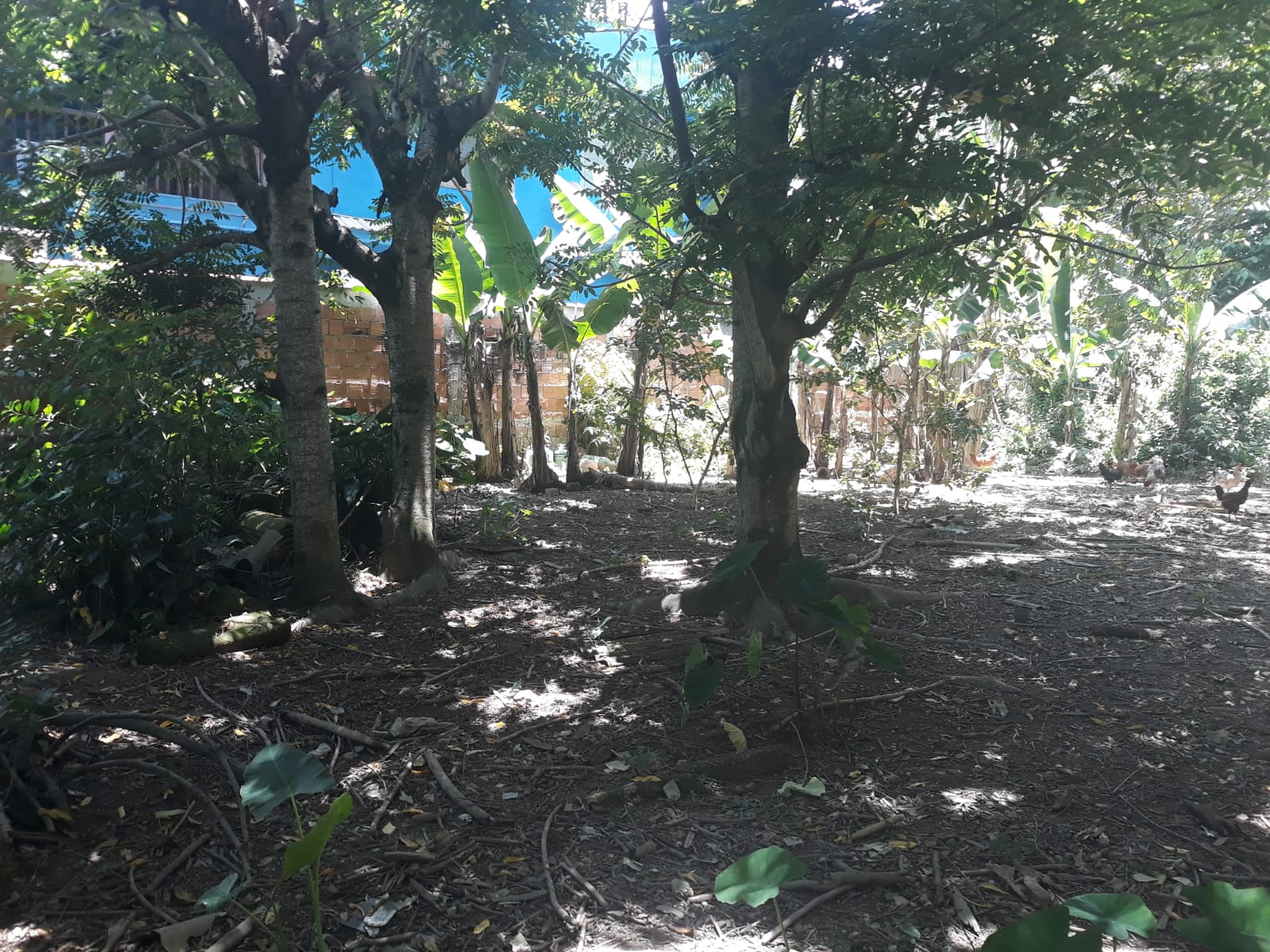 Lindo terreno na Nova Angra Angra dos reis RJ
