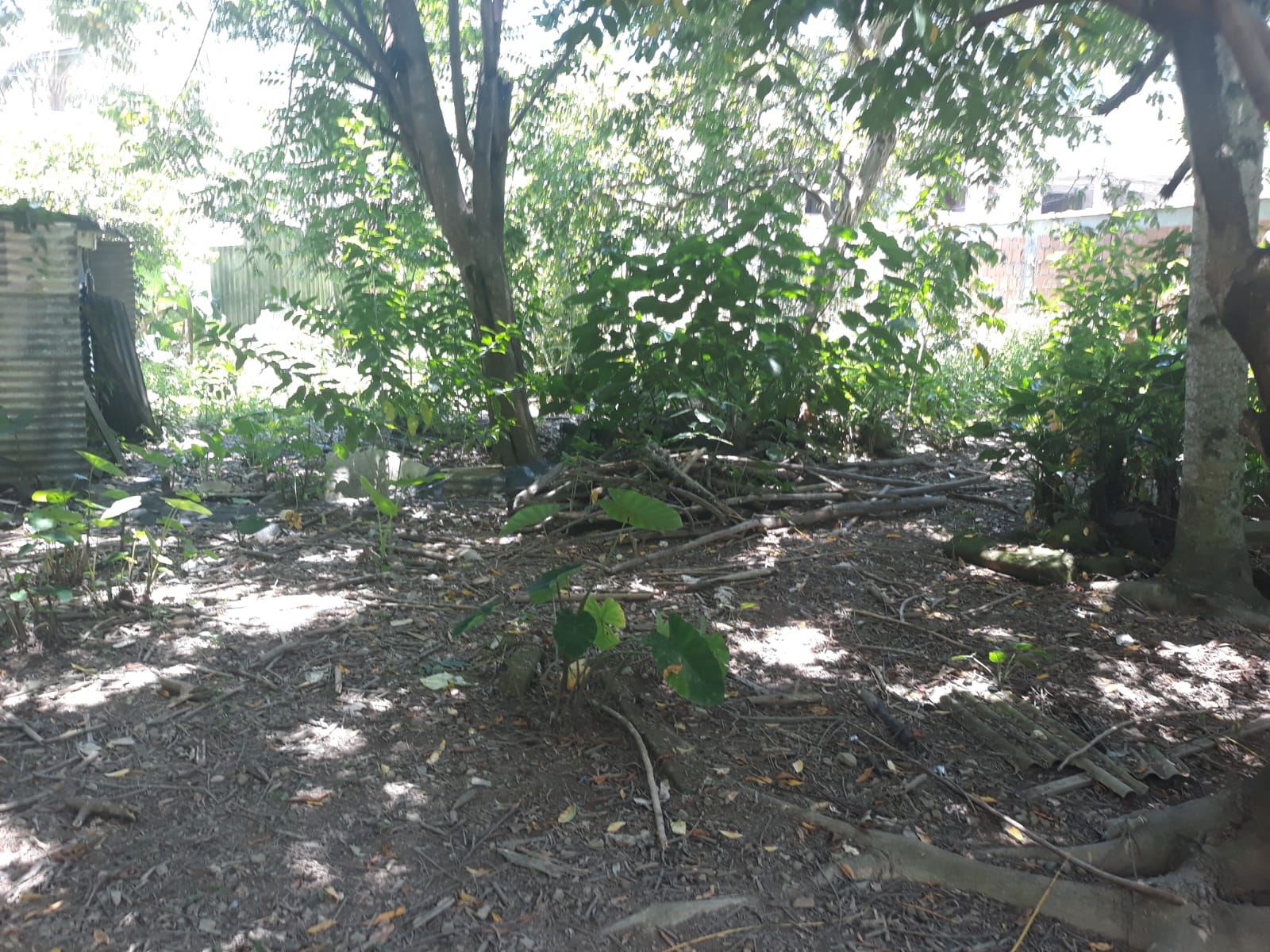 Lindo terreno na Nova Angra Angra dos reis RJ