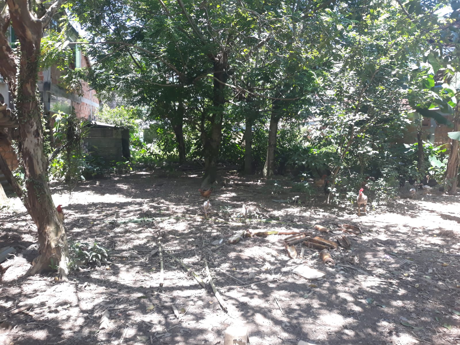 Lindo terreno na Nova Angra Angra dos reis RJ