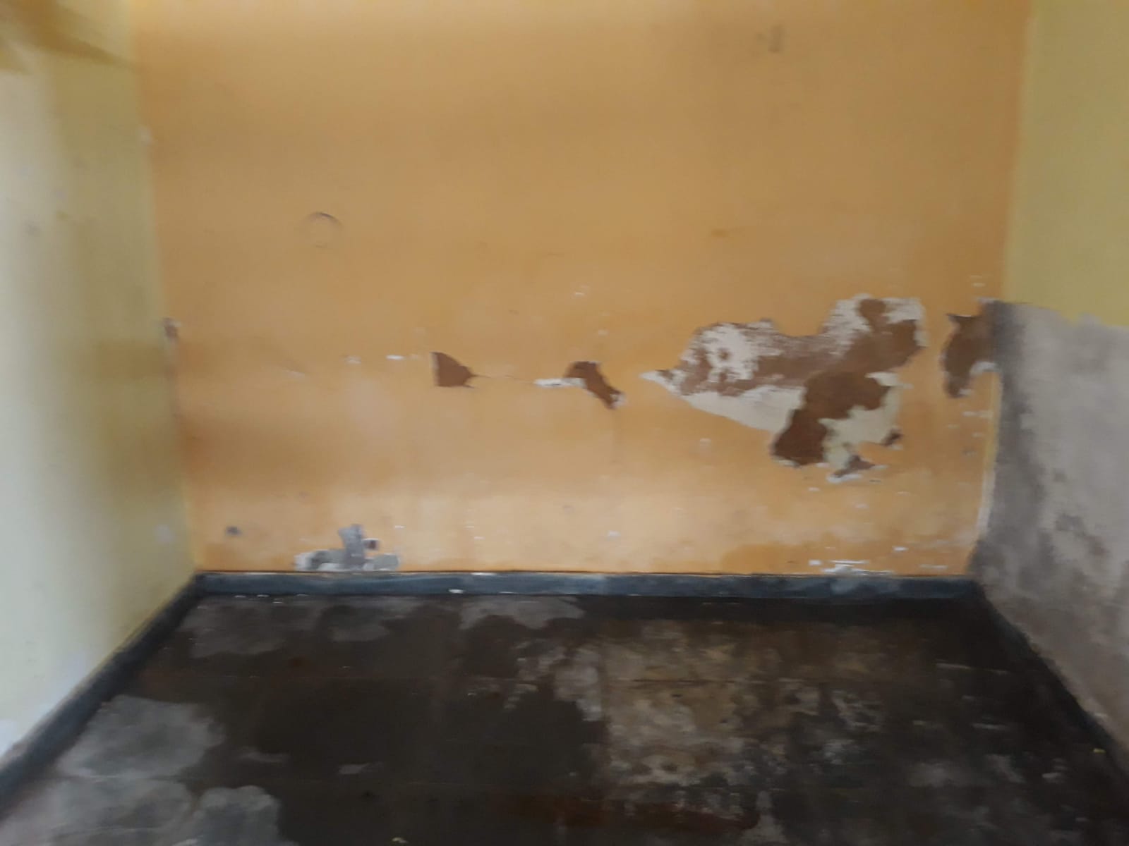 Aluguel de Galpão e casa de dois quartos no Frade há 70 metros da praia Angra dos Reis RJ  