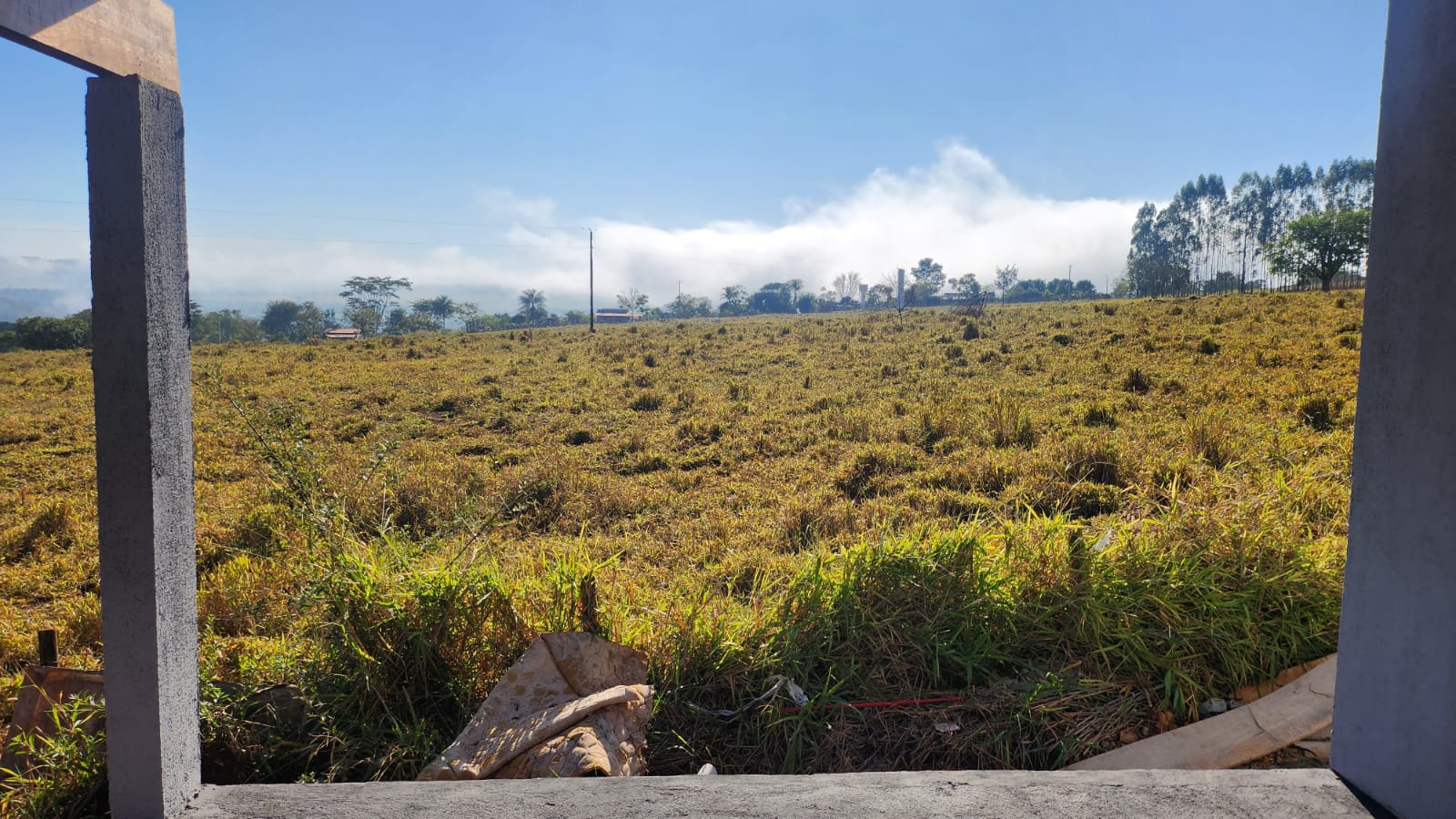 Apartamento - Venda, Não informado, Uberlândia, MG