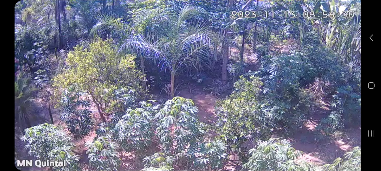 Apartamento - Venda, Morada Nova, Uberlândia, MG