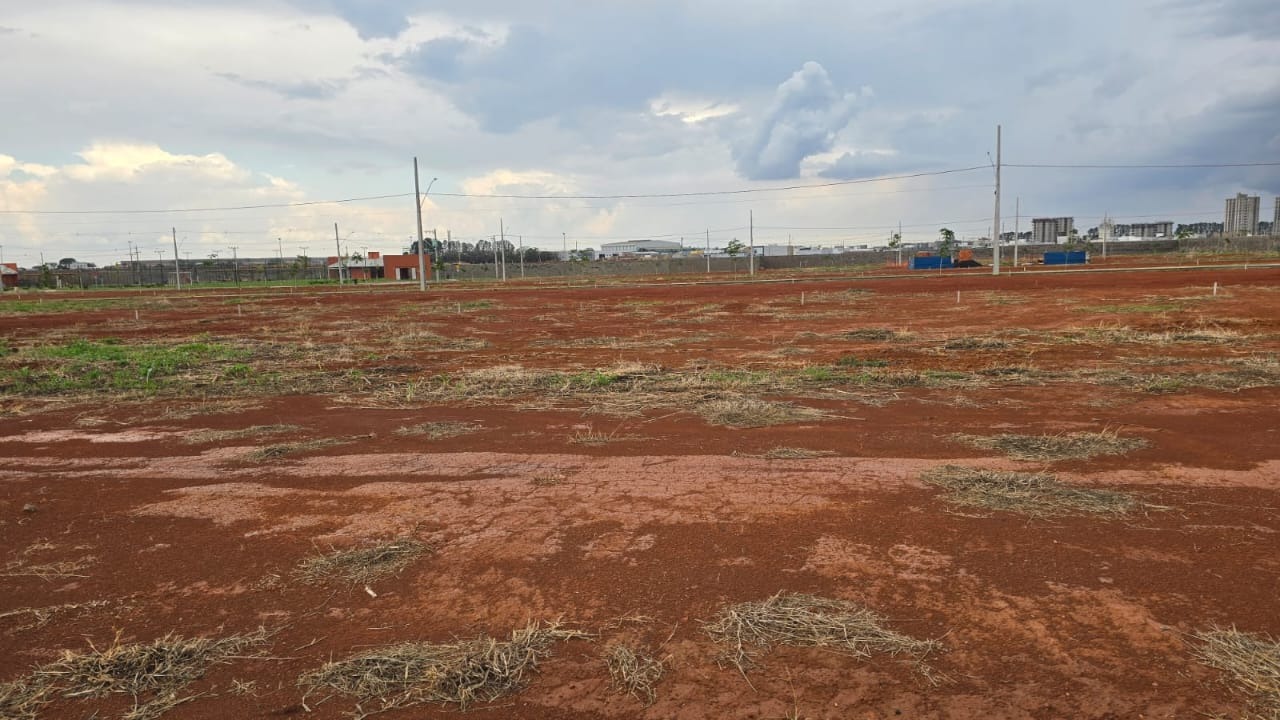 Apartamento - Venda, Novo Mundo, Uberlândia, MG