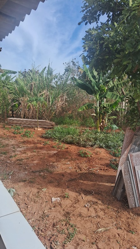 Chácara - Venda, BR-365, Uberlândia, MG