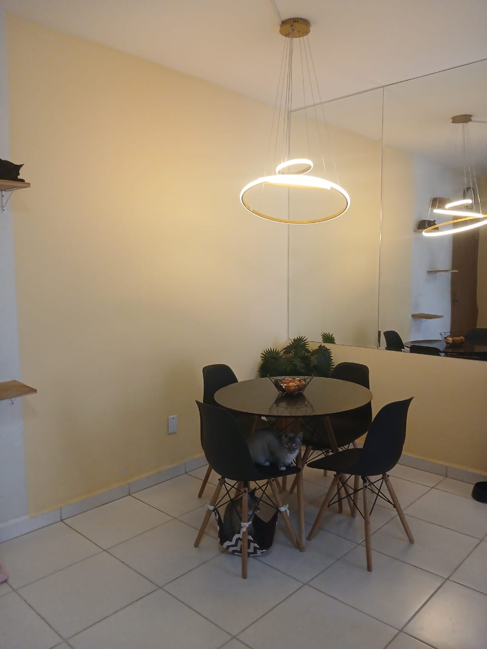  Apartamento - Luizote de Freitas