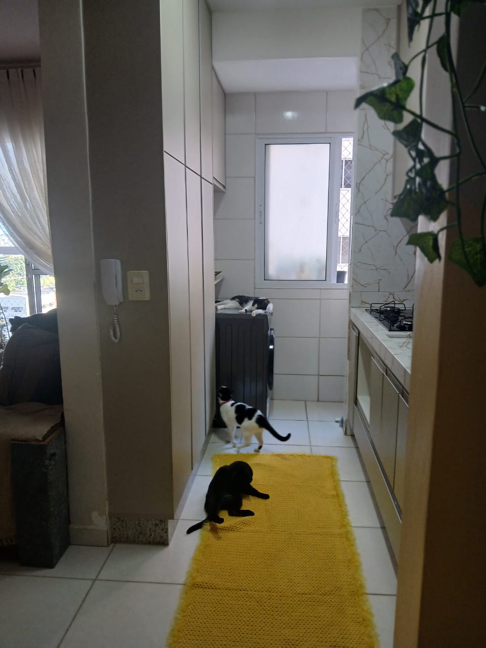  Apartamento - Luizote de Freitas