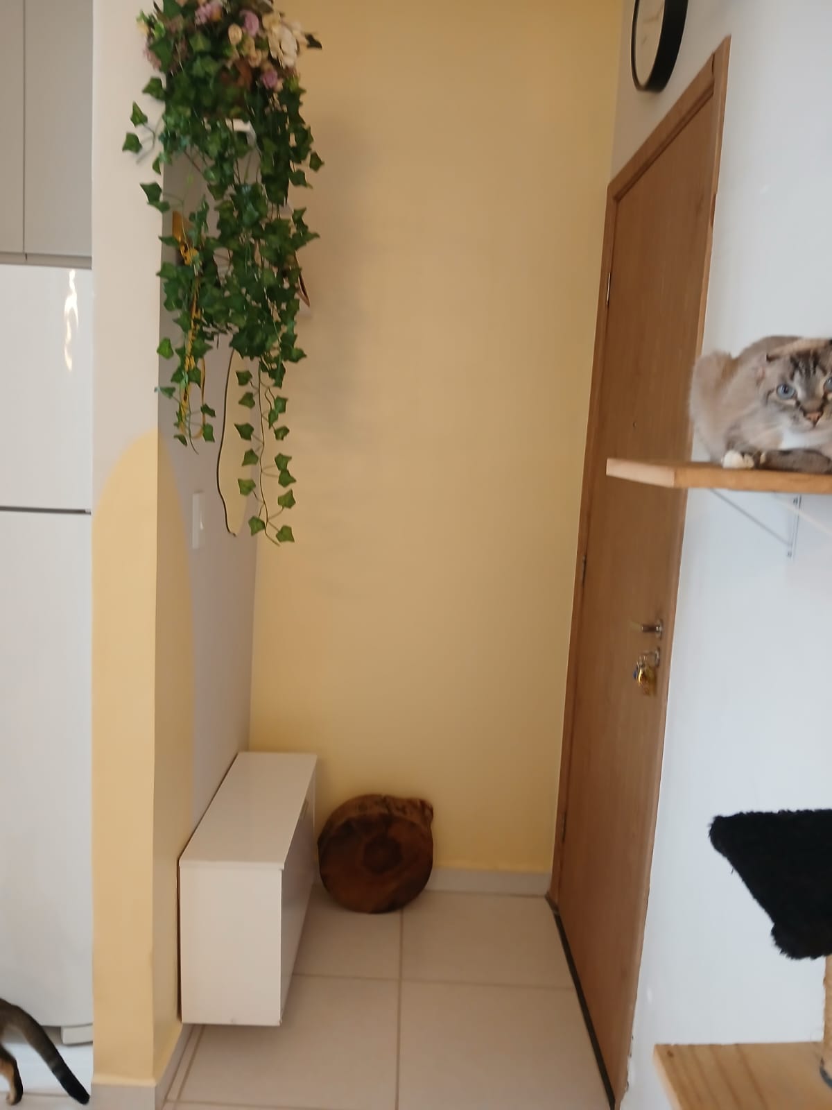  Apartamento - Luizote de Freitas