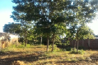 Terreno Rua Rondonópolis