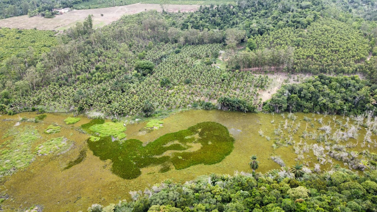 Rural - Venda, SÃO MATEUS, ES