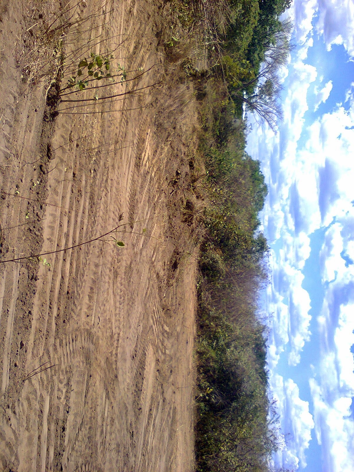 Lote N°4 (Loteamento das Esplanadas)