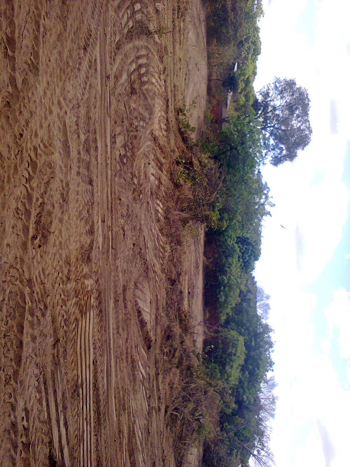 Lote N°4 (Loteamento das Esplanadas)