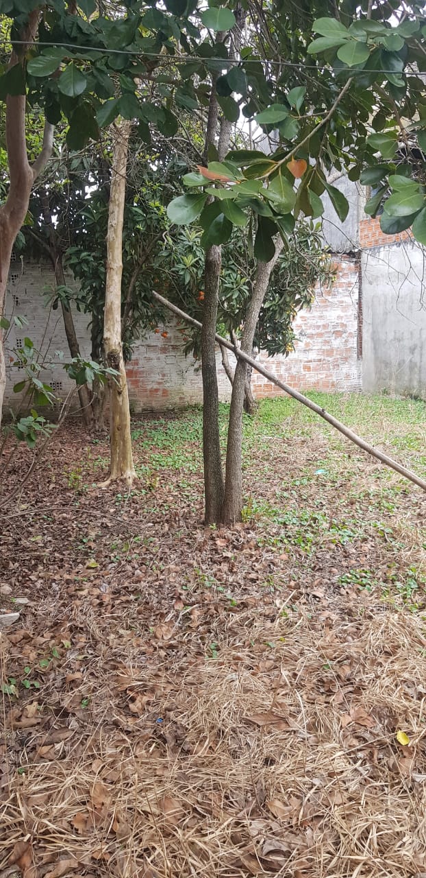 TERRENO NO PATRONATO RUA DOS LÍRIOS / ACEITA PERMUTA  POR APARTAMENTO