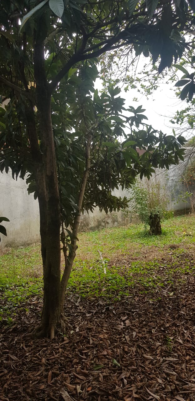 TERRENO NO PATRONATO RUA DOS LÍRIOS / ACEITA PERMUTA  POR APARTAMENTO