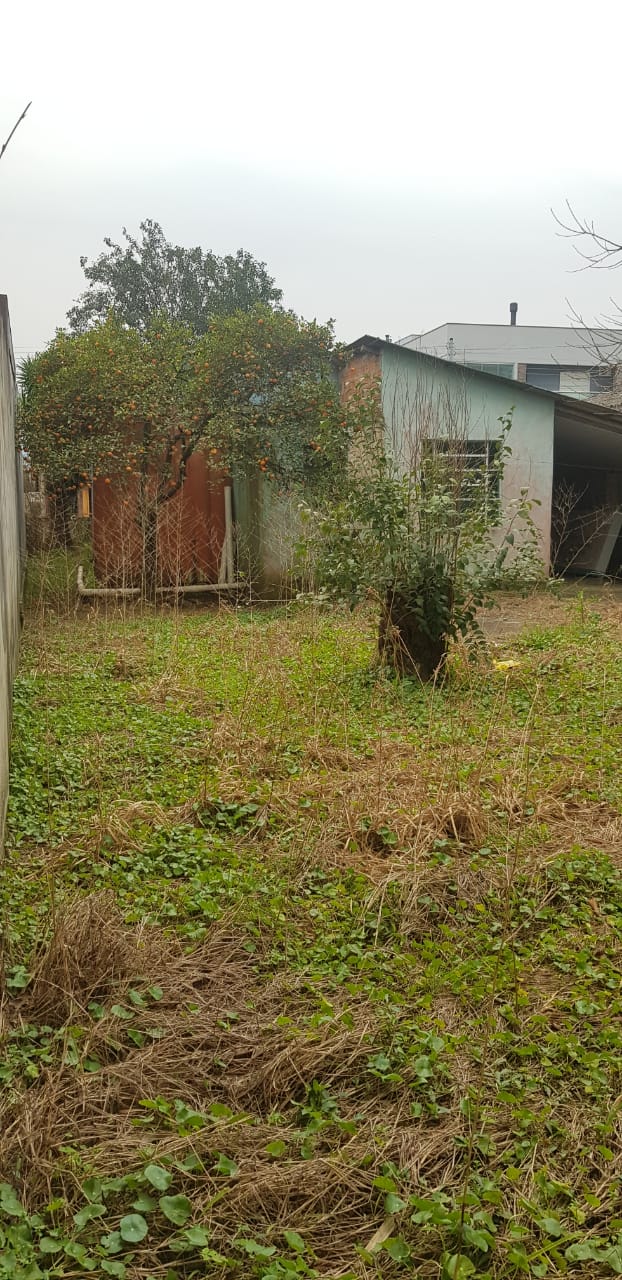 TERRENO NO PATRONATO RUA DOS LÍRIOS / ACEITA PERMUTA  POR APARTAMENTO