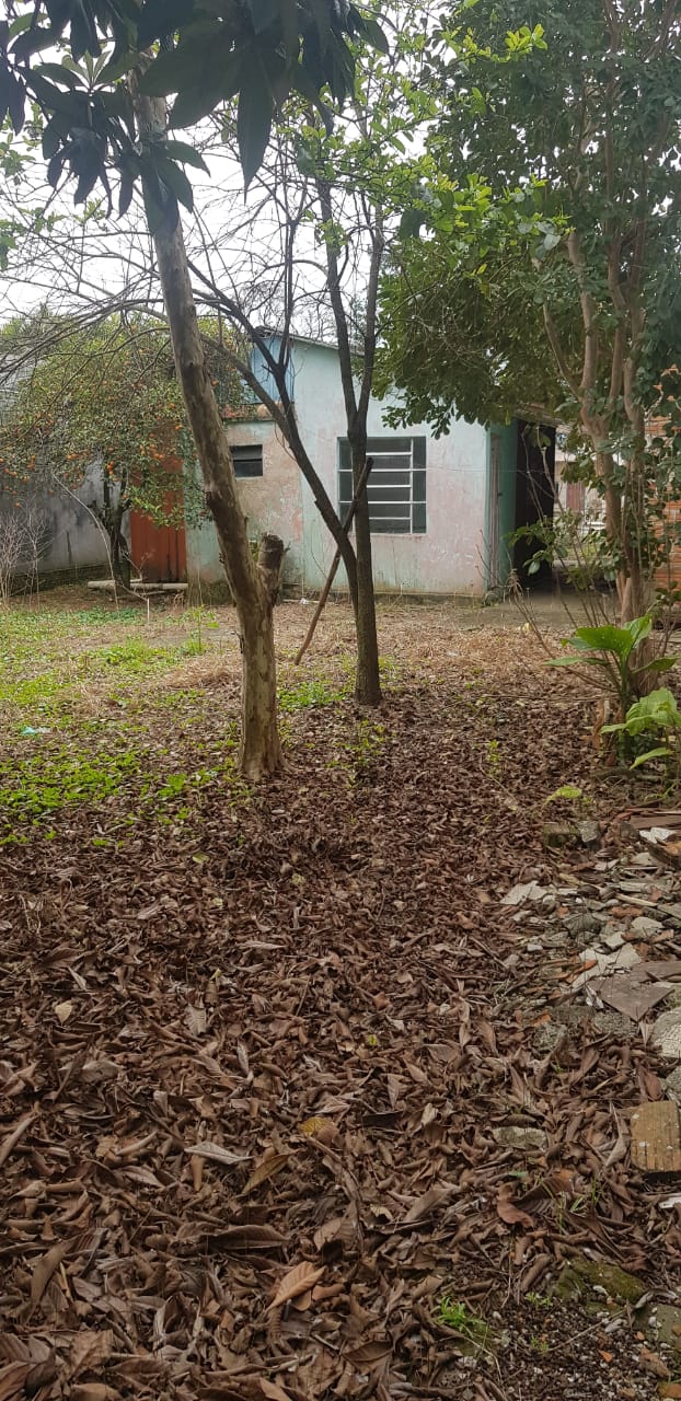 TERRENO NO PATRONATO RUA DOS LÍRIOS / ACEITA PERMUTA  POR APARTAMENTO