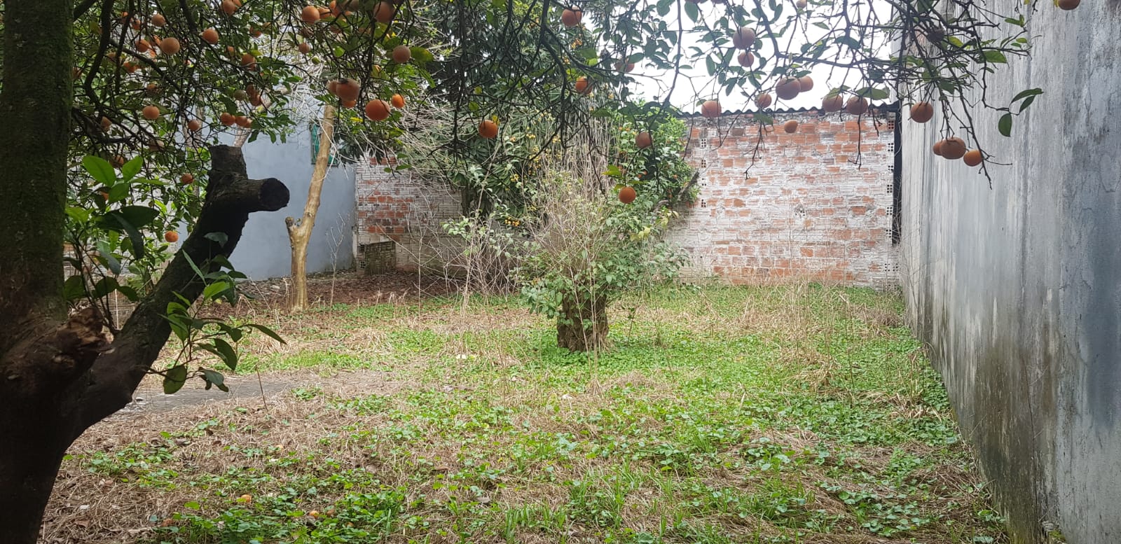 TERRENO NO PATRONATO RUA DOS LÍRIOS / ACEITA PERMUTA  POR APARTAMENTO