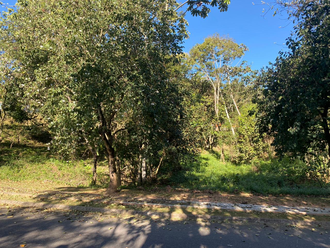 Terreno a venda localizado no condomínio Ibirapitanga em Santa Isabel-SP!