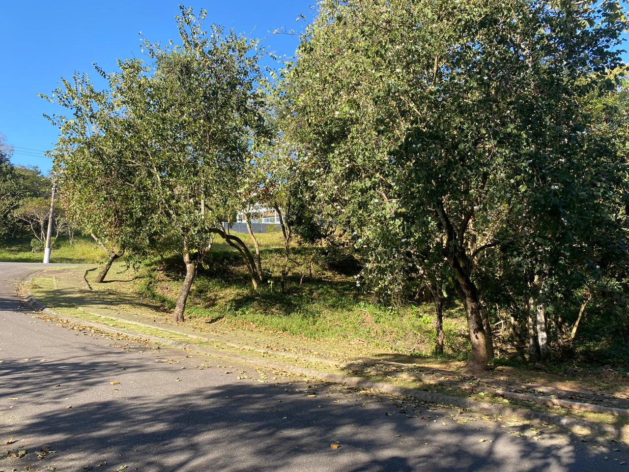 Terreno a venda localizado no condomínio Ibirapitanga em Santa Isabel-SP!