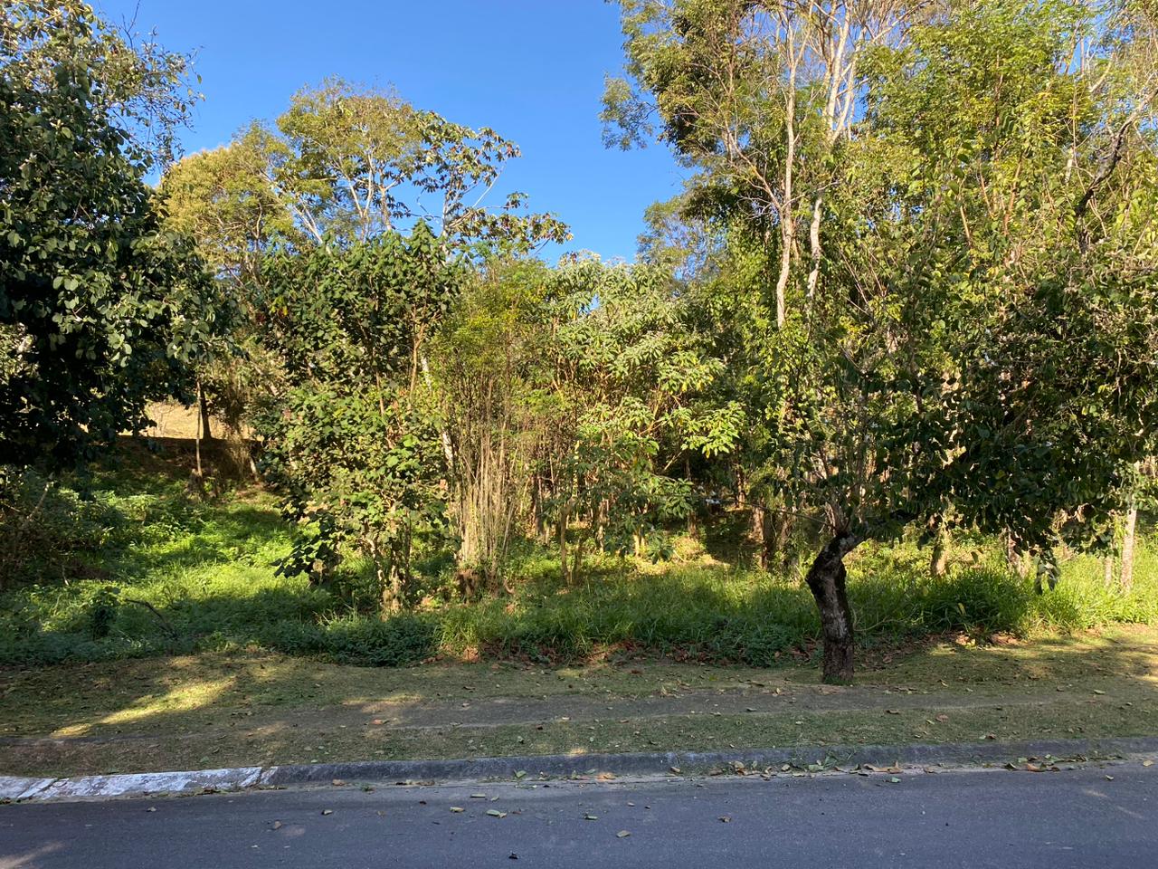 Terreno a venda localizado no condomínio Ibirapitanga em Santa Isabel-SP!