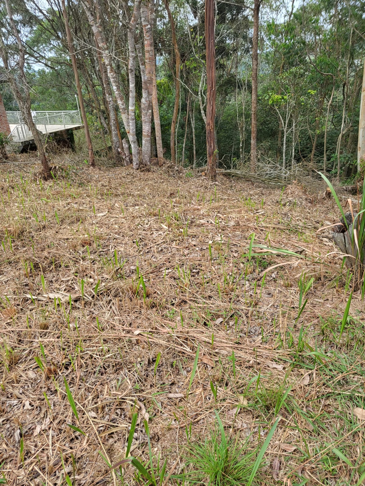 Terreno a venda localizado no  condomínio Ibirapitanga em Santa Isabel-SP
