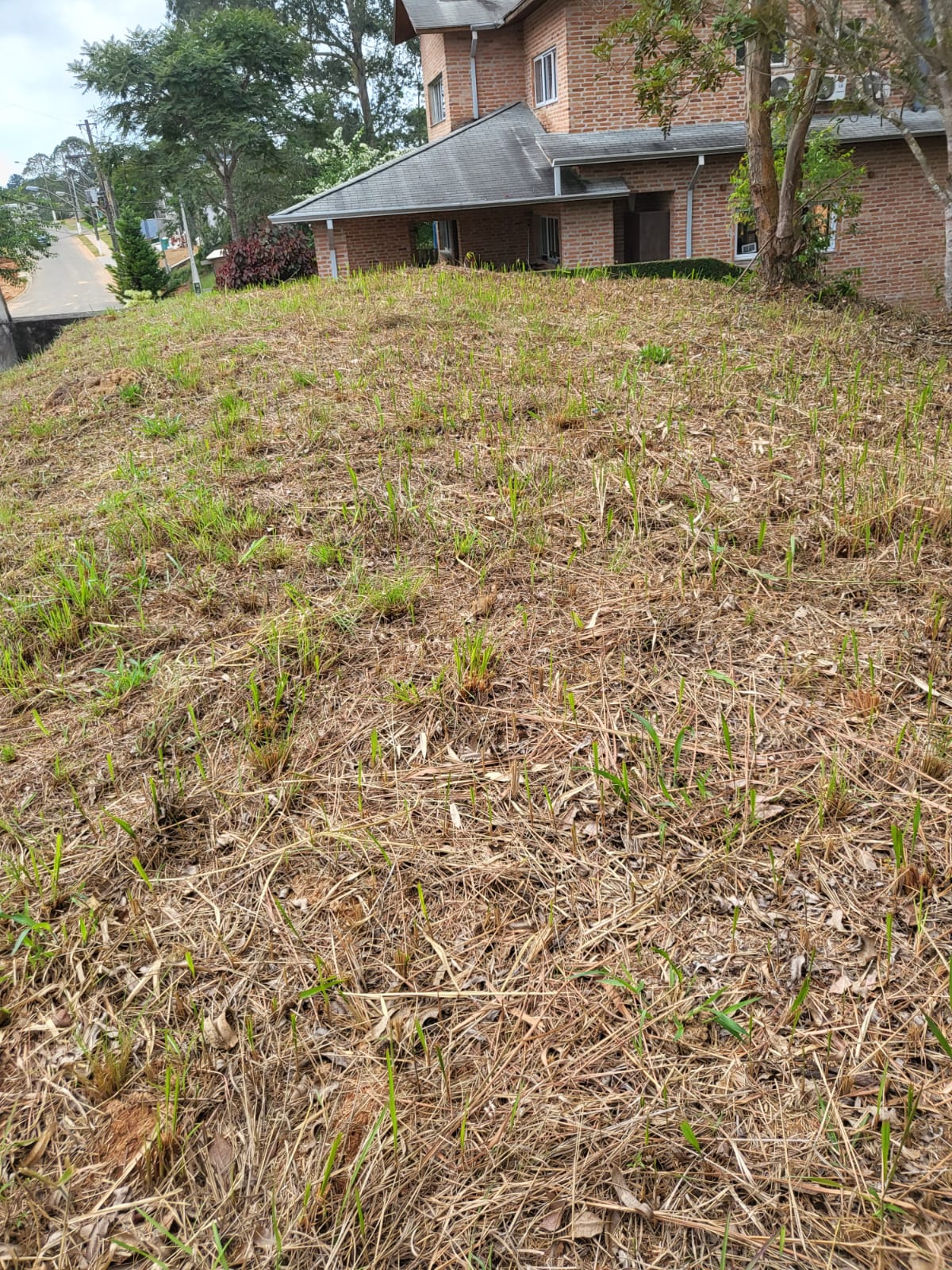 Terreno a venda localizado no  condomínio Ibirapitanga em Santa Isabel-SP
