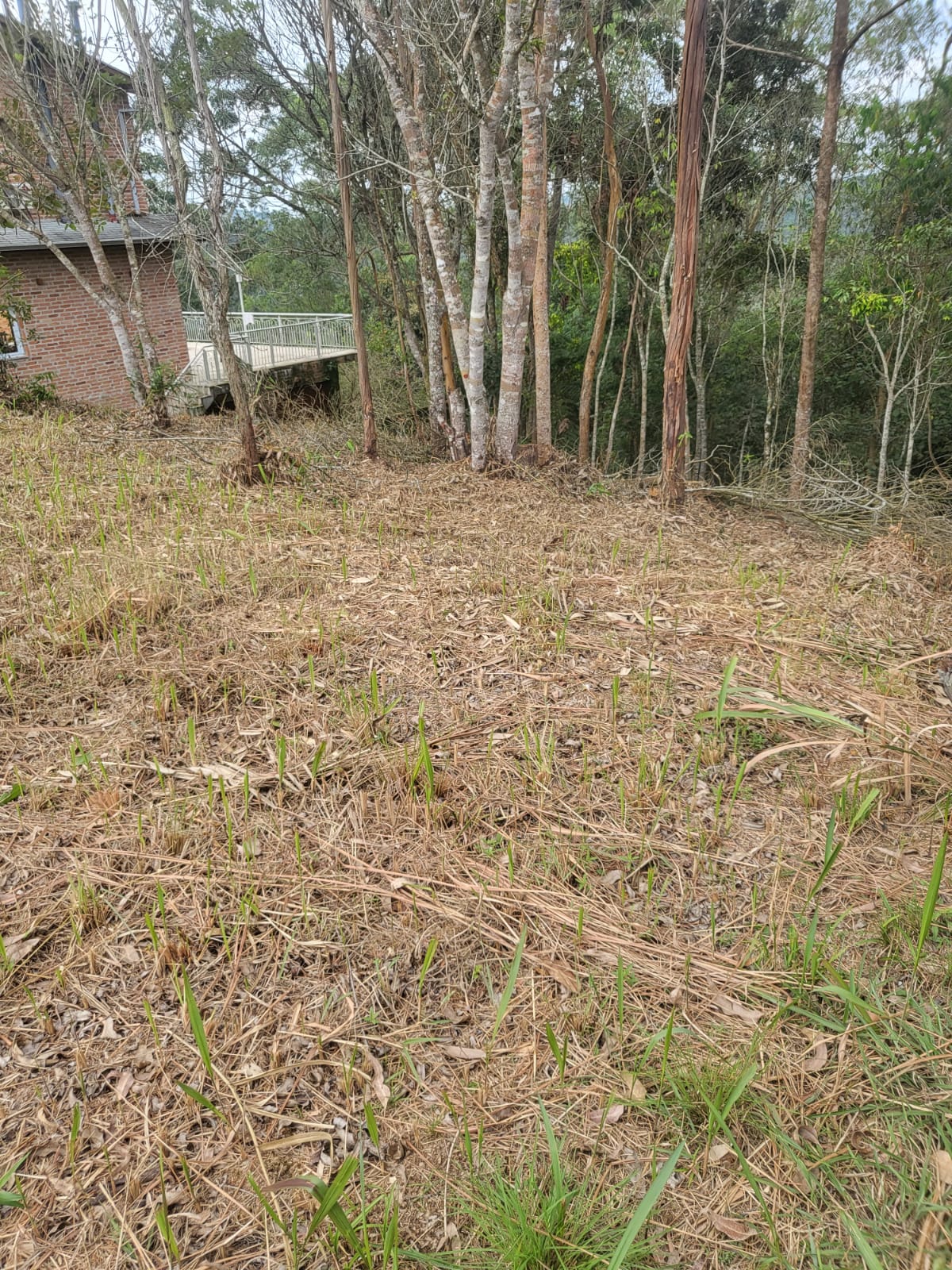 Terreno a venda localizado no  condomínio Ibirapitanga em Santa Isabel-SP