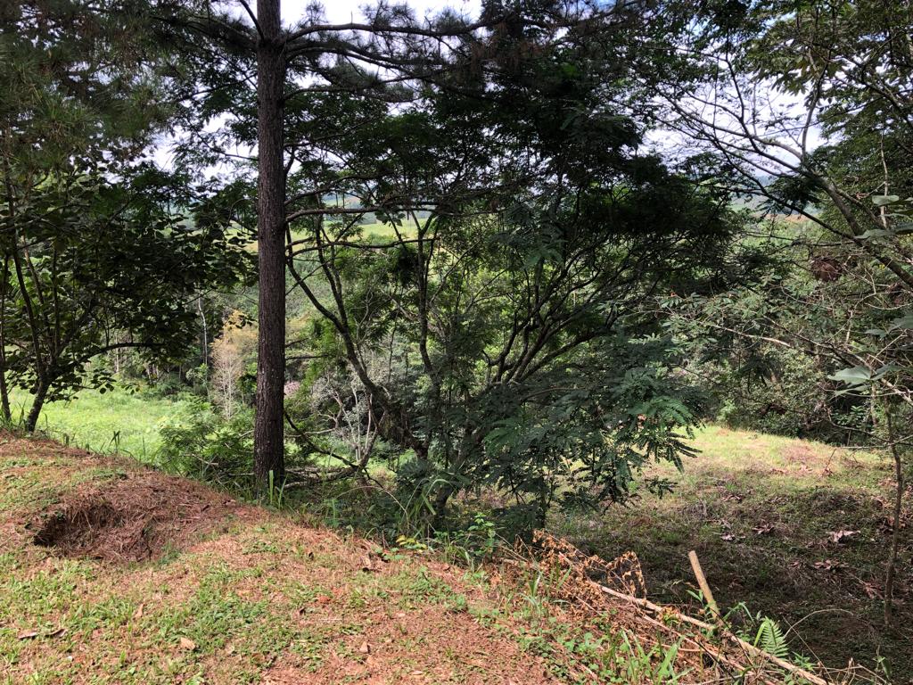 Terreno a venda localizado no condomínio Reserva Ibirapitanga em Santa Isabel-SP!