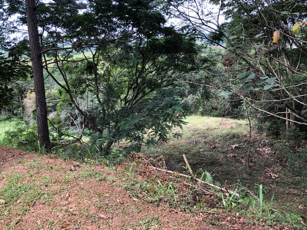 Terreno a venda localizado no condomínio Reserva Ibirapitanga em Santa Isabel-SP!