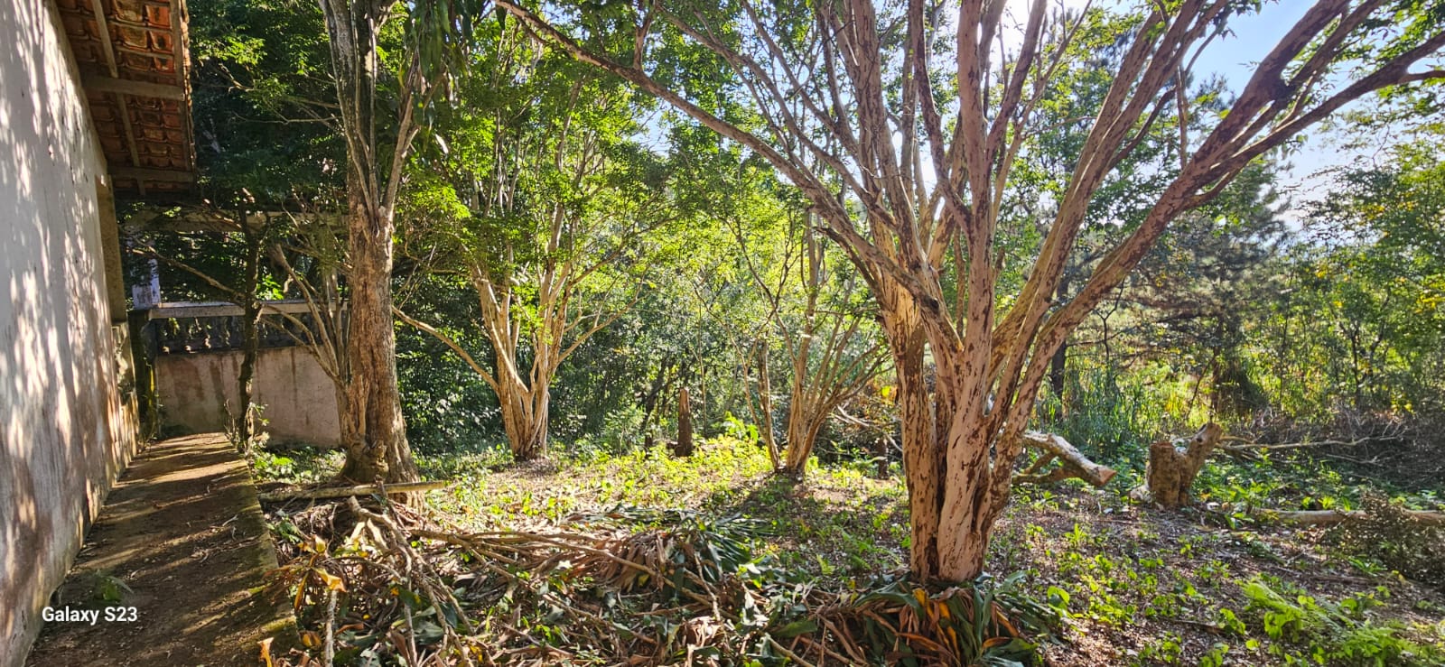 Terreno a venda com 54mil m2 no bairro Fazenda velha em Arujá-SP