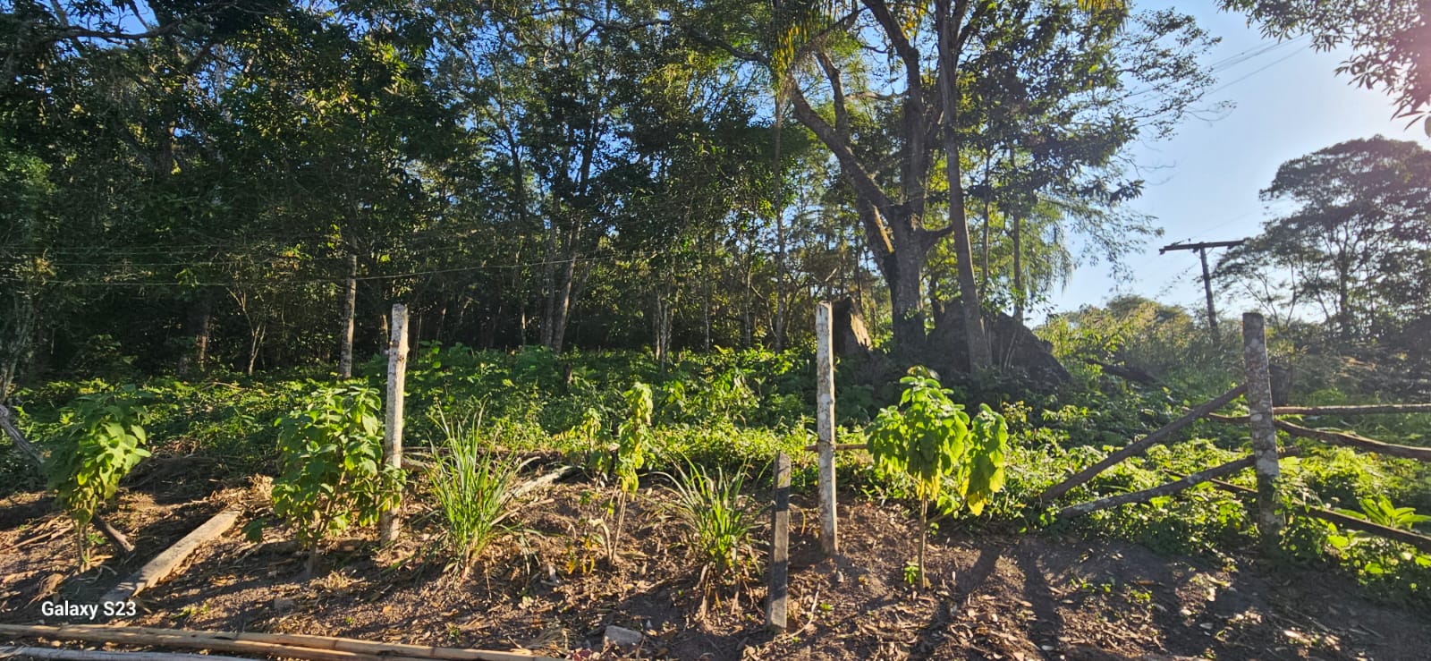 Terreno a venda com 54mil m2 no bairro Fazenda velha em Arujá-SP