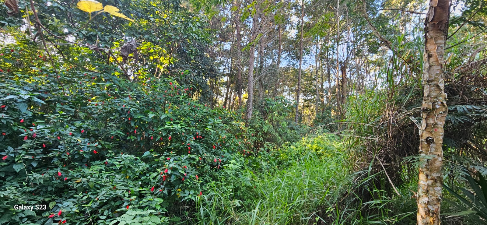 Terreno a venda com 54mil m2 no bairro Fazenda velha em Arujá-SP