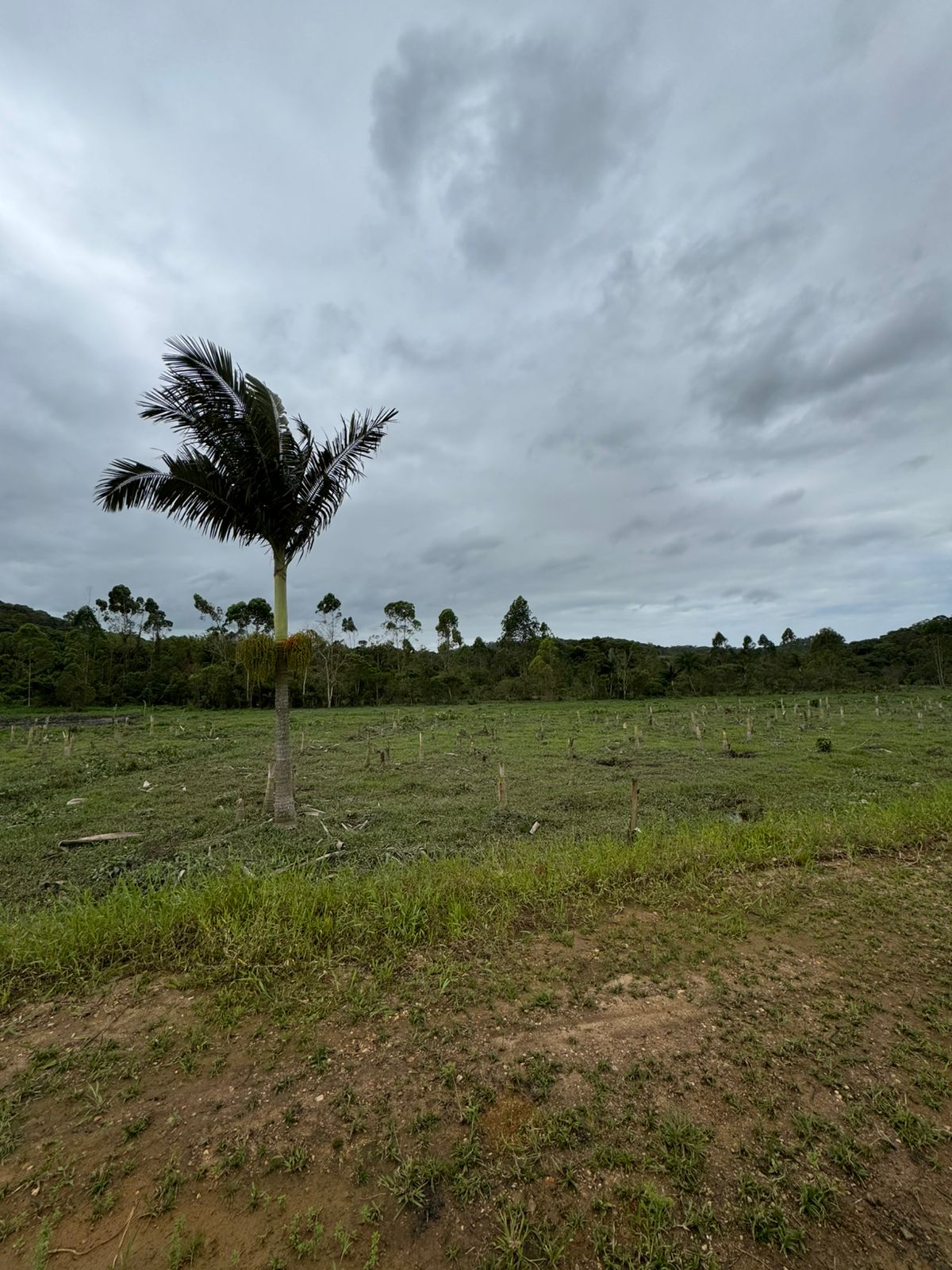 Terreno - Venda, Lagoa, Balneário Piçarras, SC