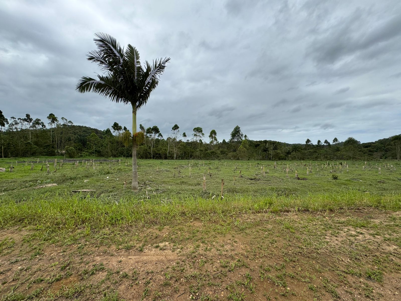 Terreno rural em Balneário Piçarras - Próximo Estrada Geral da Lagoa