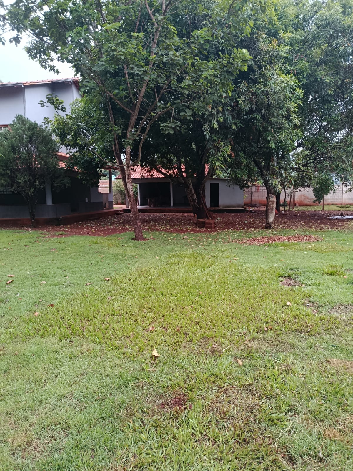 Encante-se com esta incrível chácara à venda em Chácaras de Recreio Samambaia.
