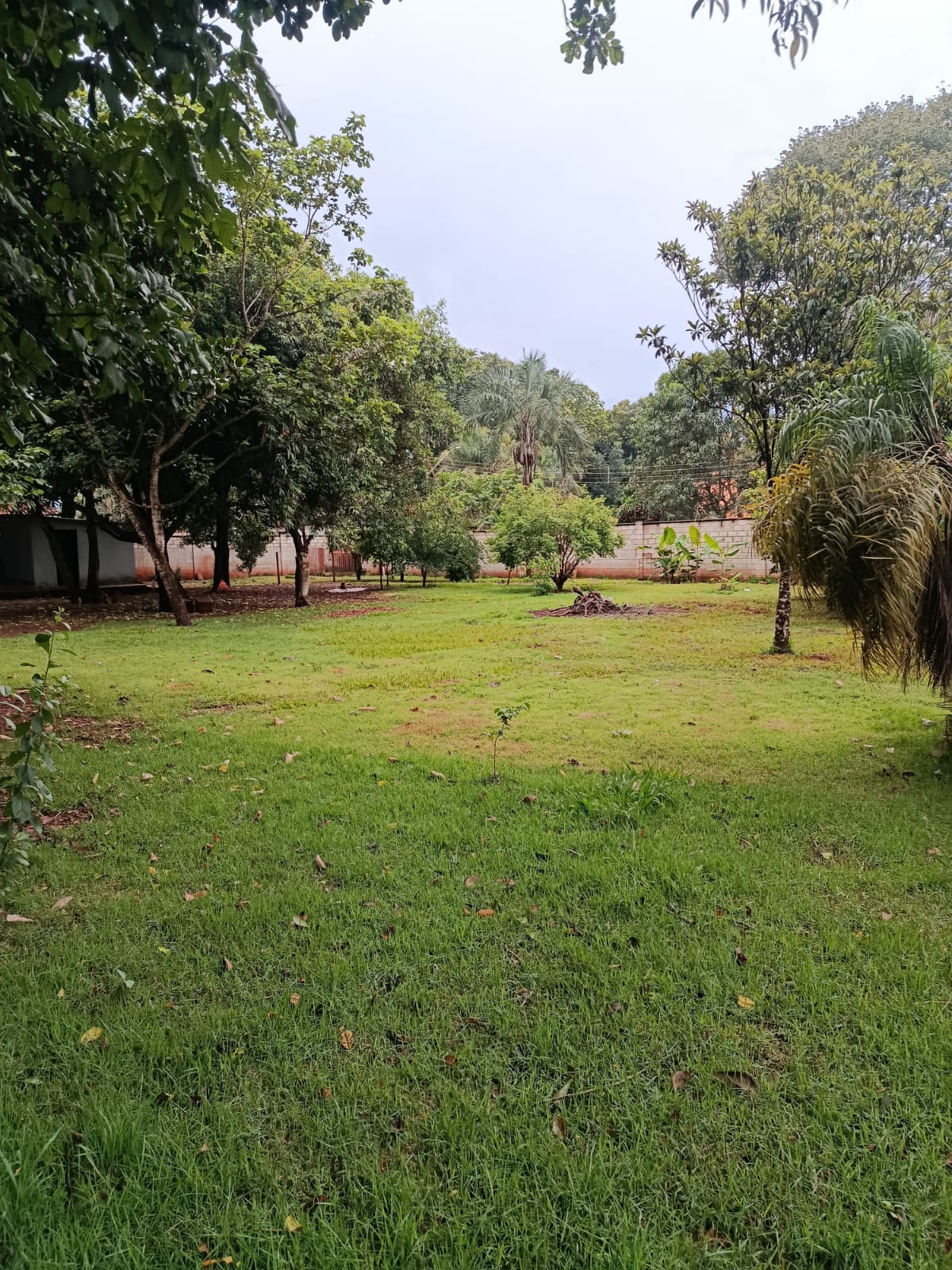 Encante-se com esta incrível chácara à venda em Chácaras de Recreio Samambaia.